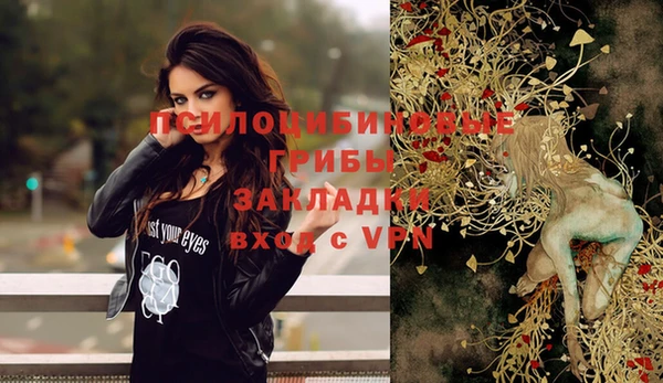 стафф Няндома