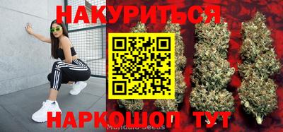 гашик Бийск