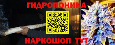 спиды Берёзовский