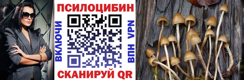 Галлюциногенные грибы Cubensis  даркнет наркотические препараты  Зеленокумск 