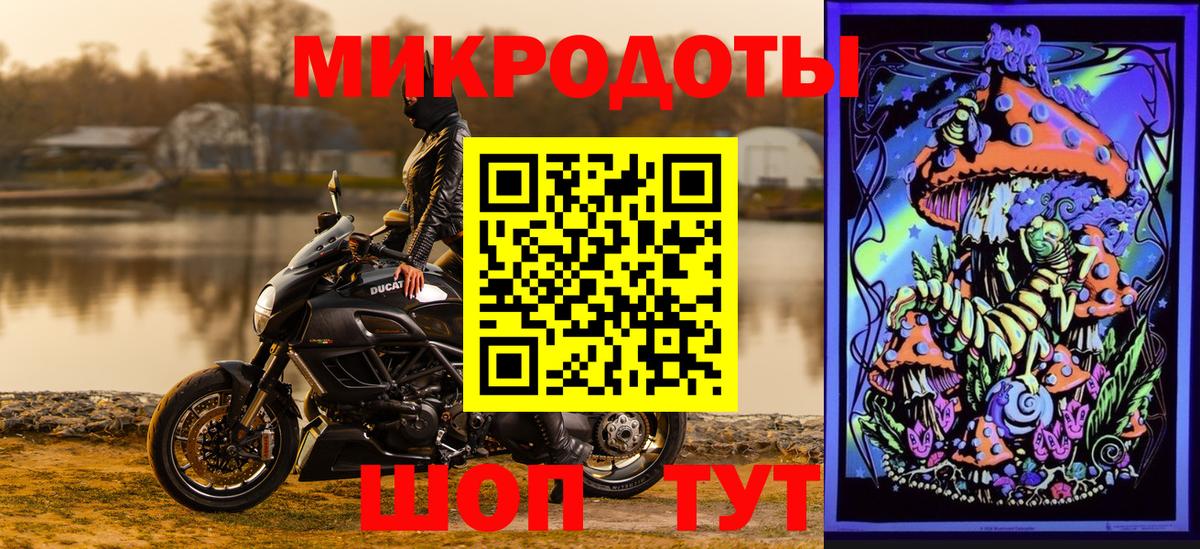 Псилоцибиновые грибы Cubensis  Зеленокумск 