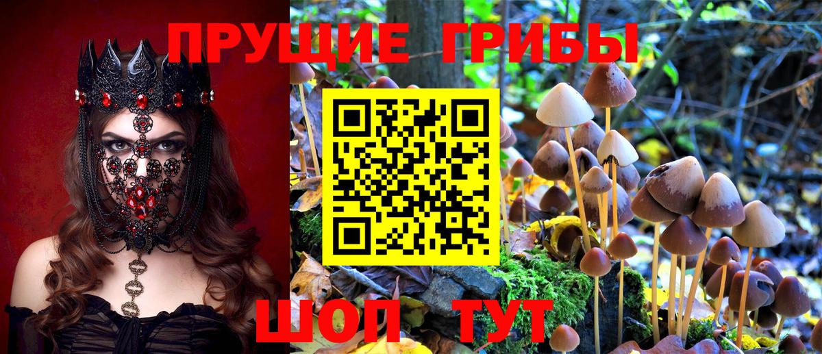 Псилоцибиновые грибы Magic Shrooms Зеленокумск