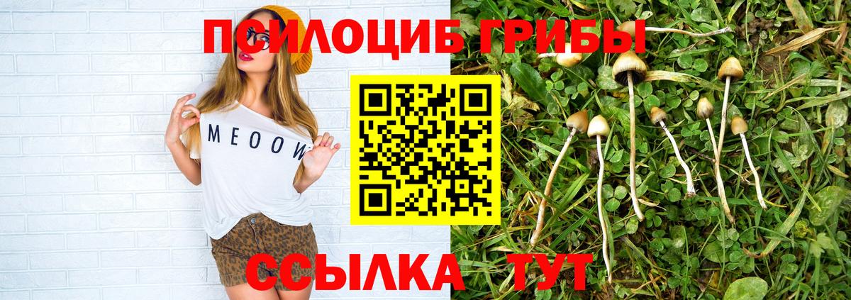 Зеленокумск  Псилоцибиновые грибы Cubensis  Вход с VPN 