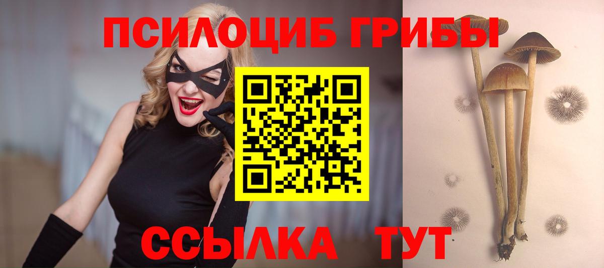 Марихуана  НБОМе  Меф МЯУ МЯУ   Кетамин  Мефедрон кристаллы  Alpha PVP СК кристаллы  Зеленокумск  Cocaine 